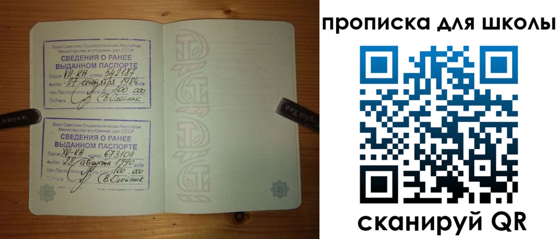 прописка для школы в Красногорске